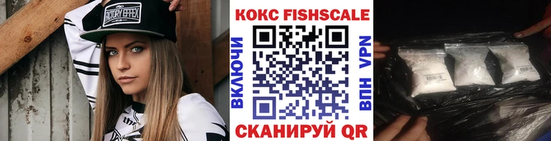 Кокаин FishScale купить наркотики сайты Елизово
