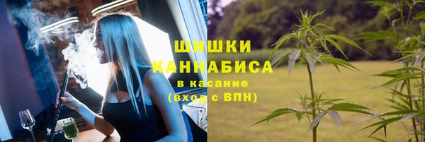 крисы Дмитров