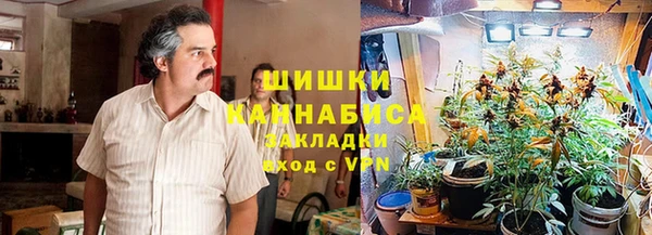 винт Дмитриев