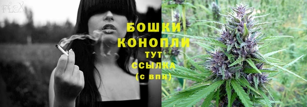 винт Дмитриев