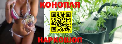 каннабис Будённовск