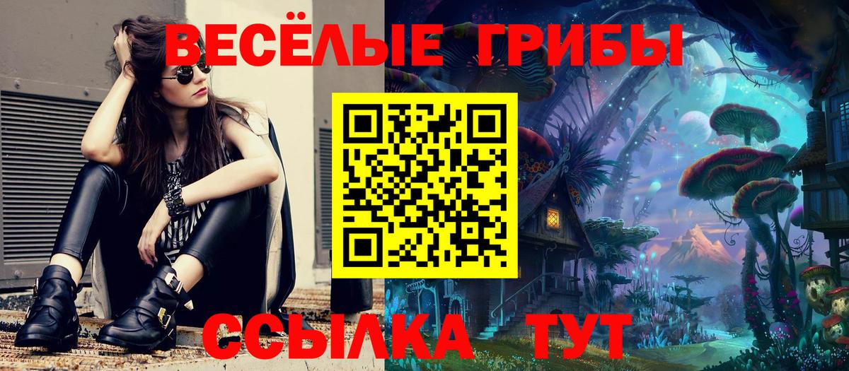 Псилоцибиновые грибы GOLDEN TEACHER  Псилоцибиновые грибы GOLDEN TEACHER  Вход с VPN  Елизово 