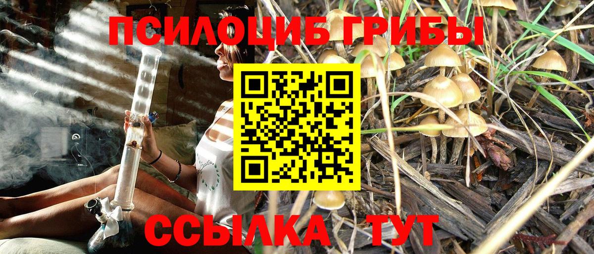 Галлюциногенные грибы MAGIC MUSHROOMS Елизово